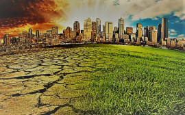 В ЦСР обсудили глобальную повестку адаптации к изменению климата