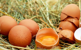 В Прикамье яйца за четыре месяца подорожали на 65%