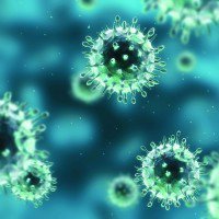 Жителей Прикамья предупредили о двух новых штаммах вирусов гриппа