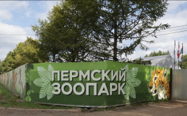 Стоимость 2 этапа строительства зоопарка в Перми составляет 181,2 млн рублей
