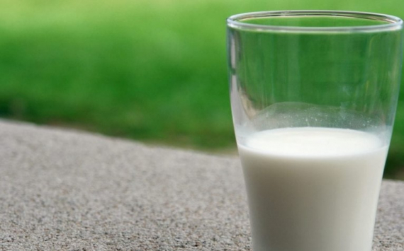 В Прикамье в производство овсяного молока инвестируют 750 млн рублей