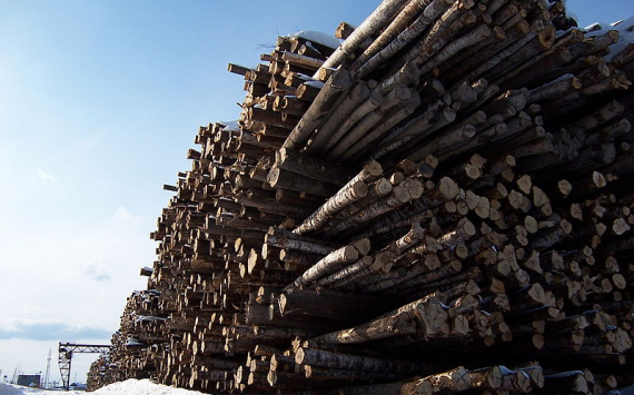 В Пермском крае компания "Свеза" откроет лесозаготовительные предприятия