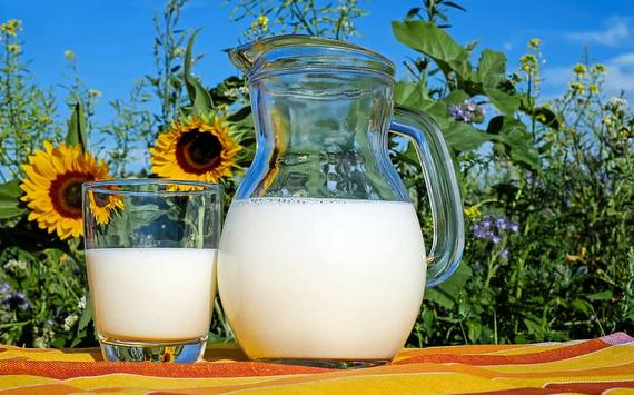 «Не бойтесь искать нестандартные решения»: история успеха суксунского молока