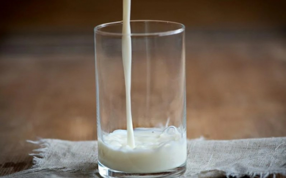 В Пермском крае переработчики молоко получат в виде субсидий 103 млн рублей
