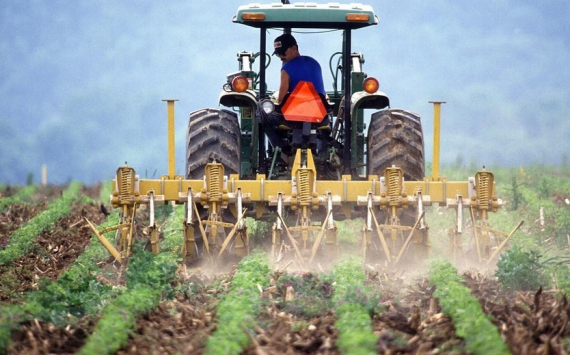 В Пермском крае фермерам раздадут субсидии в размере 62,3 млн рублей