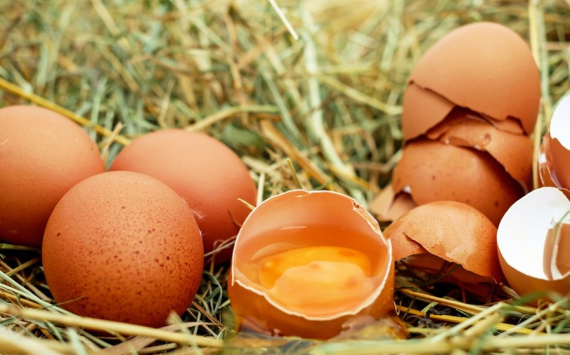 В Пермском крае яйца подорожали на 16,5%