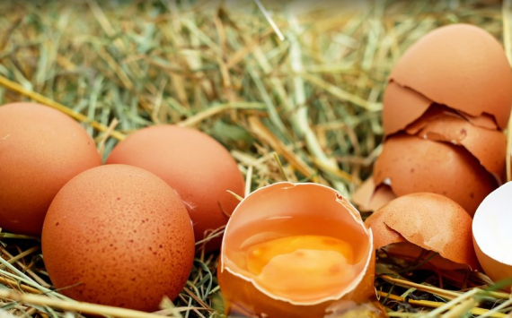 Пермский край на 200% обеспечен собственным производством яиц